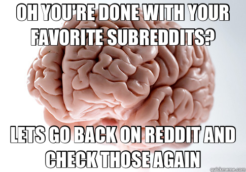 OH YOU'RE DONE WITH YOUR FAVORITE SUBREDDITS? LETS GO BACK ON REDDIT AND CHECK THOSE AGAIN  Scumbag Brain