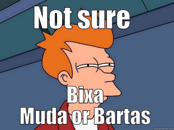 NOT SURE  BIXA MUDA OR BARTAS Futurama Fry