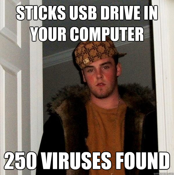 sticks usb drive in your computer 250 viruses found - sticks usb drive in your computer 250 viruses found  Scumbag Steve