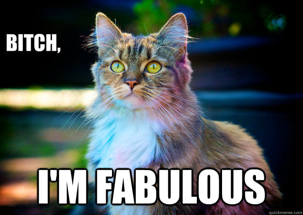 
bitch, i'm fabulous - 
bitch, i'm fabulous  fab cat