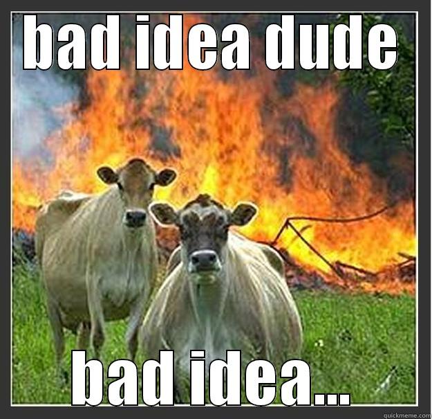 BAD IDEA DUDE BAD IDEA... Evil cows