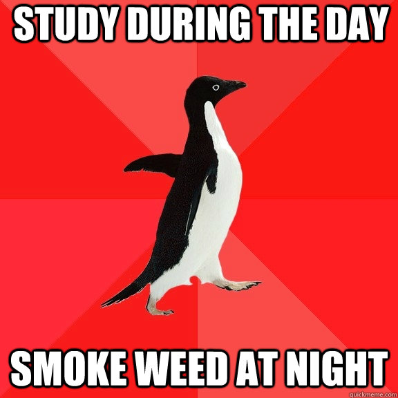 Study during the day Smoke weed at night  Socially Awesome Penguin