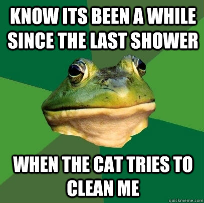 Know its been a while since the last shower When the cat tries to clean me - Know its been a while since the last shower When the cat tries to clean me  Foul Bachelor Frog