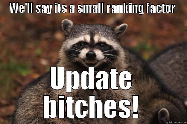 WE'LL SAY ITS A SMALL RANKING FACTOR UPDATE BITCHES! Evil Plotting Raccoon