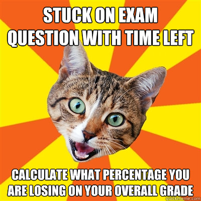 stuck on exam question with time left calculate what percentage you are losing on your overall grade  Bad Advice Cat