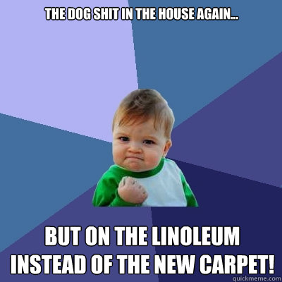 The Dog shit in the house again... But on the linoleum instead of the new carpet!  Success Kid