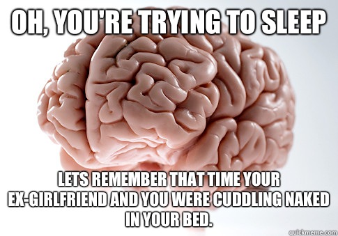 Oh, you're trying to sleep Lets remember that time your ex-girlfriend and you were cuddling naked in your bed.  Scumbag Brain