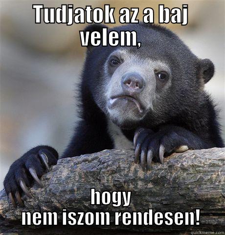 TUDJATOK AZ A BAJ VELEM, HOGY NEM ISZOM RENDESEN! Confession Bear