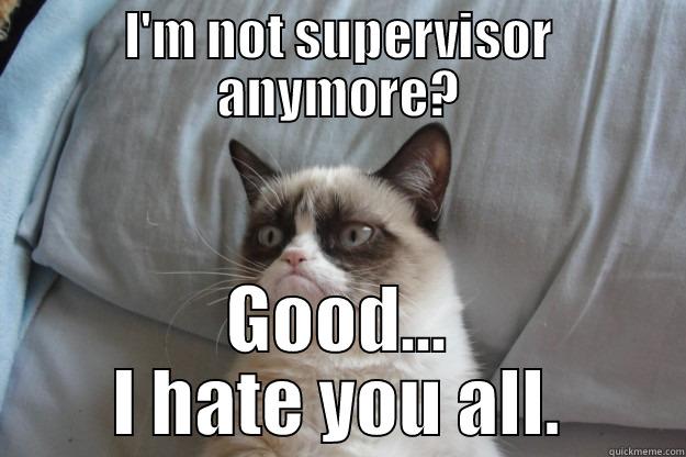 I'M NOT SUPERVISOR ANYMORE? GOOD... I HATE YOU ALL. Grumpy Cat