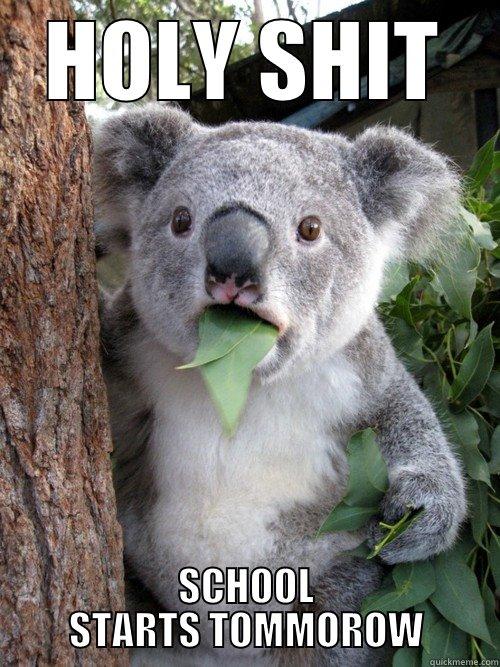 HOLY SHIT SCHOOL STARTS TOMMOROW koala bear