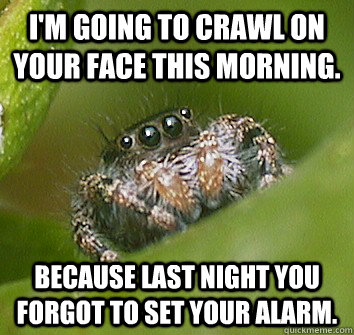 I'm going to crawl on your face this morning. Because last night you forgot to set your alarm.  Misunderstood Spider