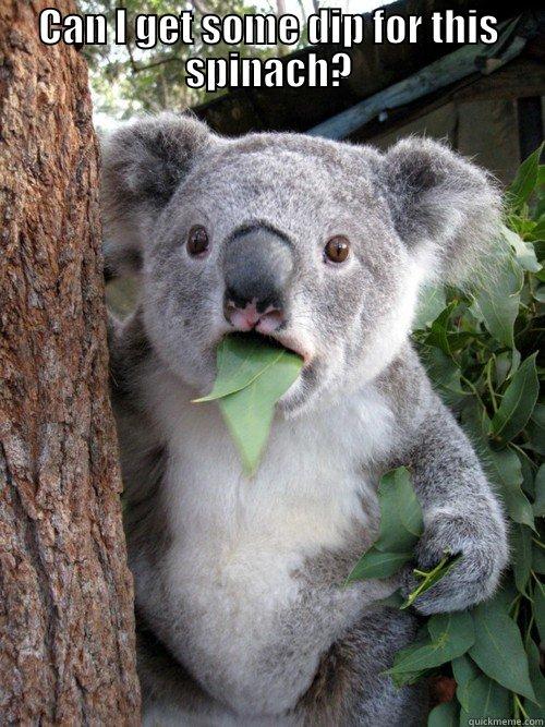 CAN I GET SOME DIP FOR THIS SPINACH?  koala bear