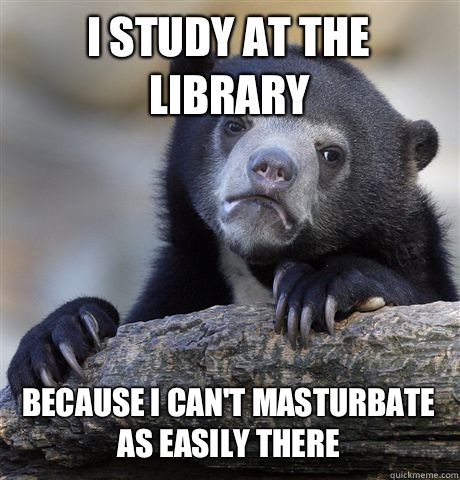 I study at the library because I can't masturbate as easily there  Confession Bear