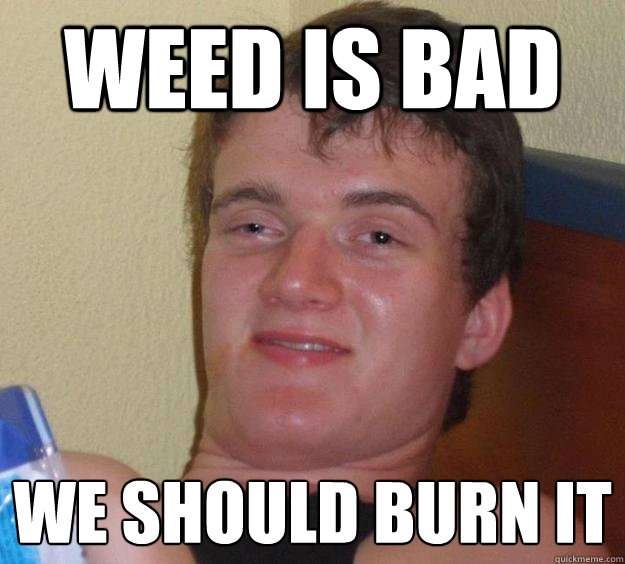 weed is bad we should burn it  10 Guy