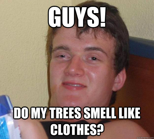 Guys! do my trees smell like clothes?  10 Guy