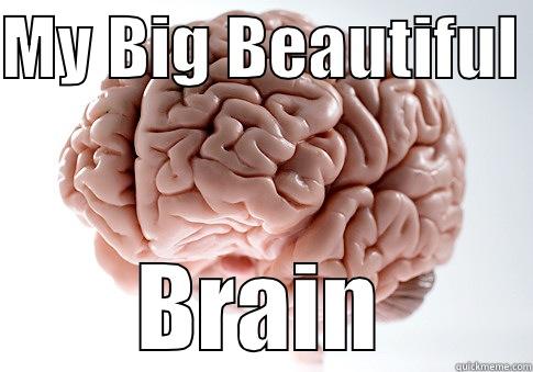 MY BIG BEAUTIFUL  BRAIN Scumbag Brain