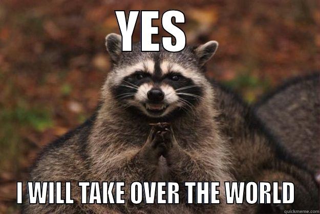 YES  I WILL TAKE OVER THE WORLD  Evil Plotting Raccoon