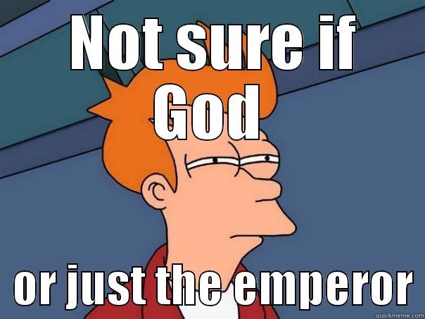  NOT SURE IF GOD   OR JUST THE EMPEROR Futurama Fry