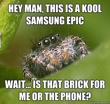 Hey man, this is a kool Samsung Epic Wait... Is that brick for me or the phone?  Misunderstood Spider