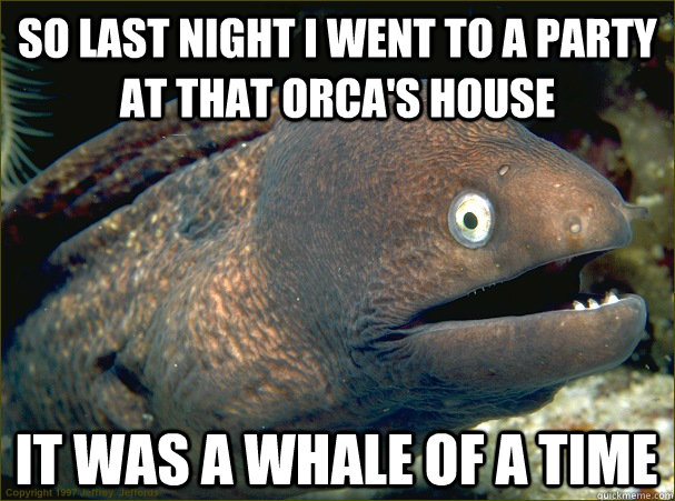 So last night I went to a party at that Orca's house It was a whale of a time  Bad Joke Eel