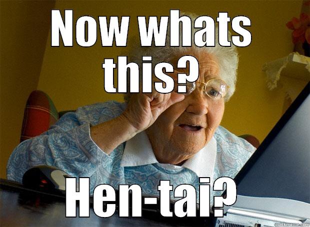 NOW WHATS THIS? HEN-TAI? Grandma finds the Internet