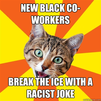 New black co-workers Break the ice with a racist joke  Bad Advice Cat