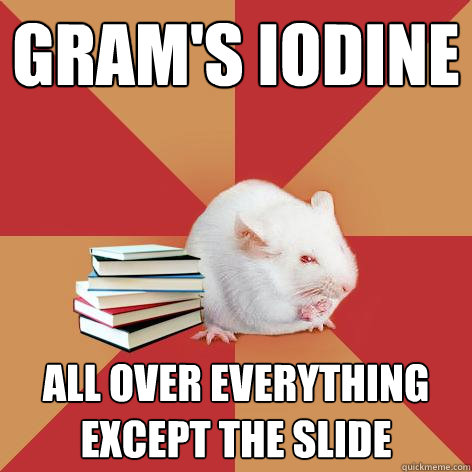 gram's iodine all over everything except the slide  Science Major Mouse