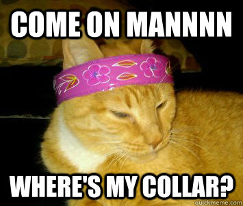 come on mannnn where's my collar? - come on mannnn where's my collar?  Jerry Garcia Cat