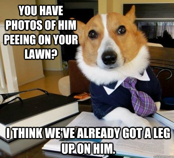 You have photos of him peeing on your lawn? I think we've already got a leg up on him.  Lawyer Dog