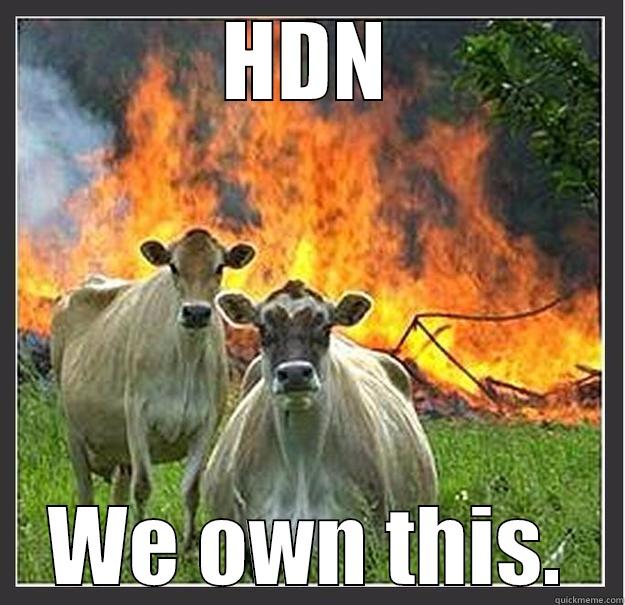 HDN WE OWN THIS. Evil cows