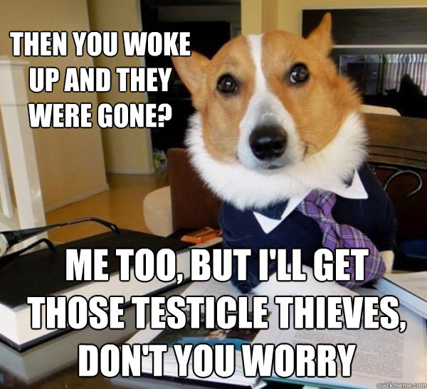 then you woke up and they were gone? me too, but i'll get those testicle thieves, don't you worry   Lawyer Dog