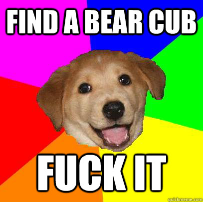 Find a bear cub Fuck it  Advice Dog