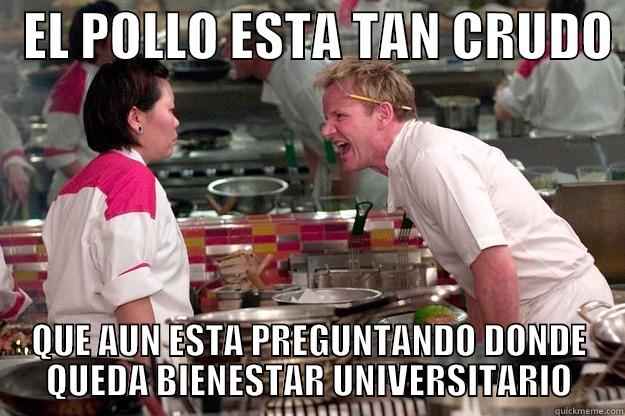   EL POLLO ESTA TAN CRUDO  QUE AUN ESTA PREGUNTANDO DONDE QUEDA BIENESTAR UNIVERSITARIO Gordon Ramsay