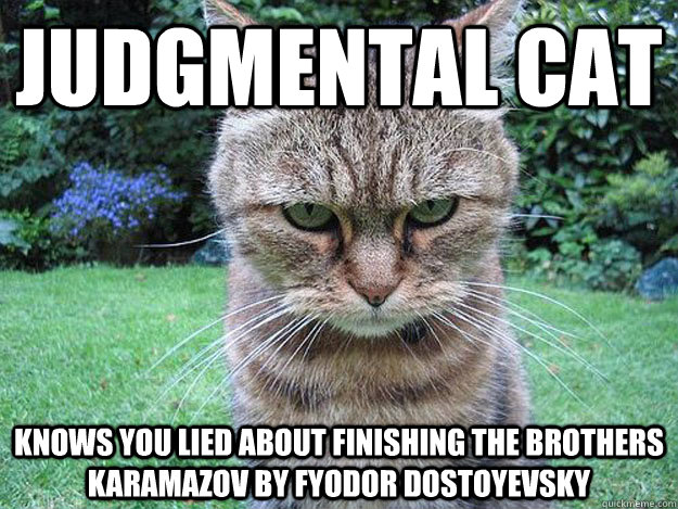 judgmental Cat knows you lied about finishing The Brothers Karamazov by Fyodor Dostoyevsky - judgmental Cat knows you lied about finishing The Brothers Karamazov by Fyodor Dostoyevsky  Misc