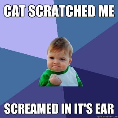 Cat scratched me screamed in it's ear  Success Kid