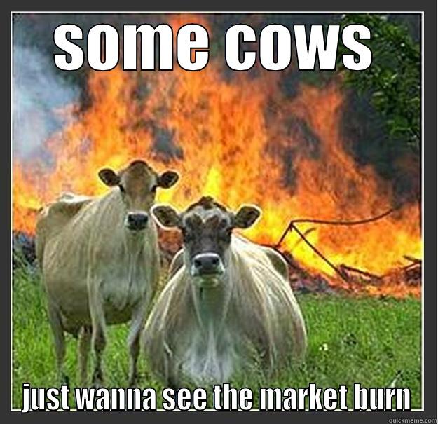 SOME COWS JUST WANNA SEE THE MARKET BURN Evil cows