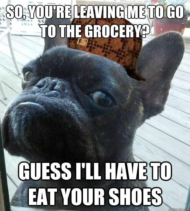 So, you're leaving me to go to the grocery? Guess i'll have to eat your shoes  Scumbag dog