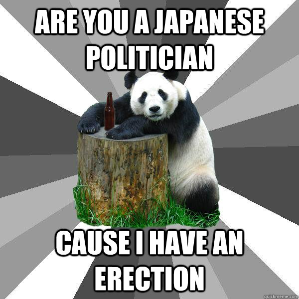 Are you a japanese politician Cause I have an erection  Pickup-Line Panda