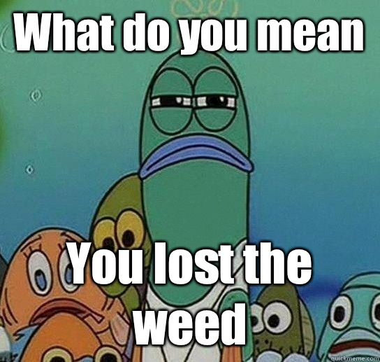 What do you mean  You lost the weed  Serious fish SpongeBob