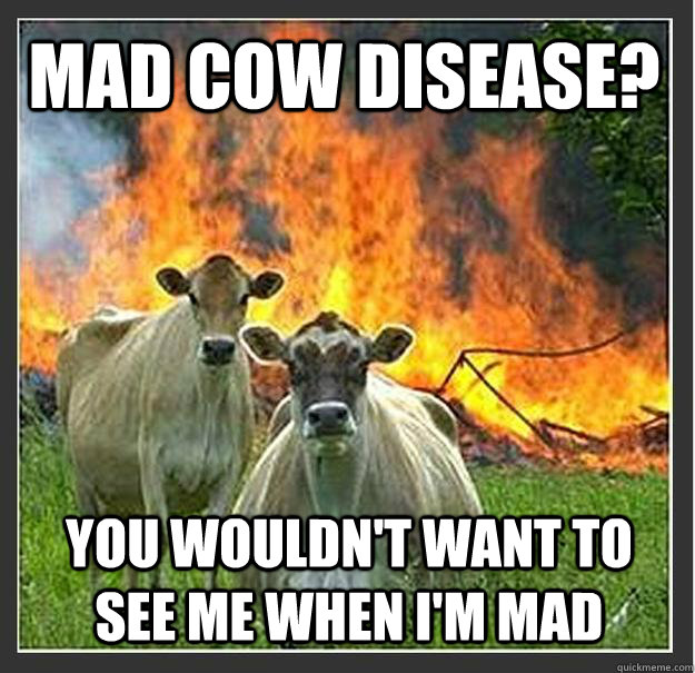 Mad Cow disease? You wouldn't want to see me when I'm mad  Evil cows