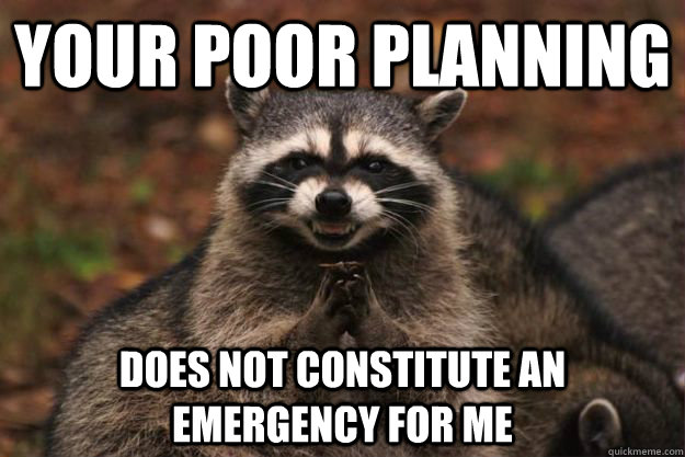 Your Poor Planning Does not constitute an emergency for me   Evil Plotting Raccoon