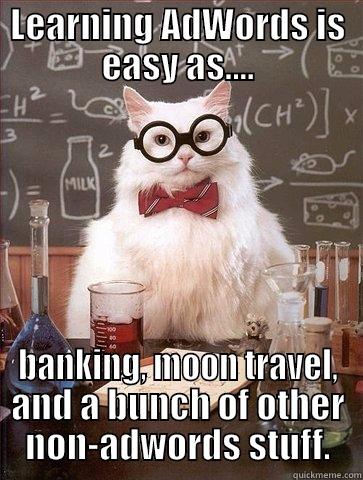 LEARNING ADWORDS IS EASY AS.... BANKING, MOON TRAVEL, AND A BUNCH OF OTHER NON-ADWORDS STUFF. Chemistry Cat