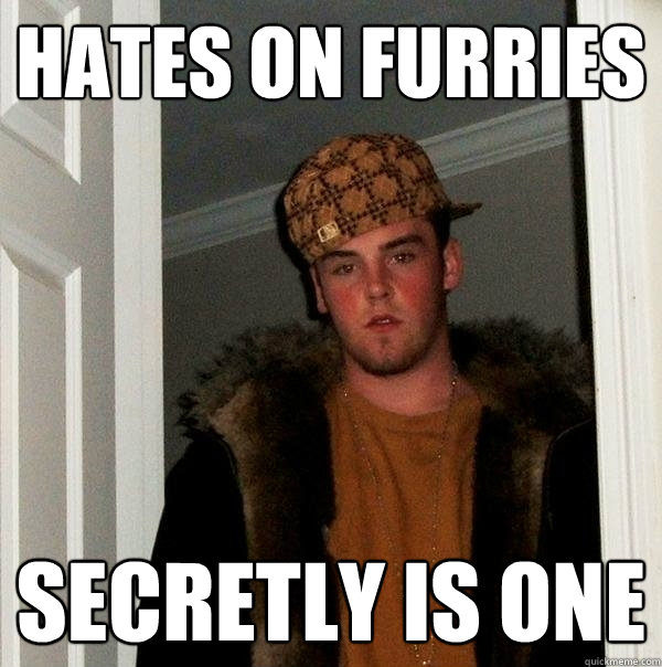 hates on furries secretly is one   Scumbag Steve