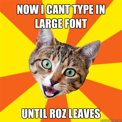 NOW I CANT TYPE IN LARGE FONT UNTIL ROZ LEAVES  Bad Advice Cat