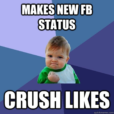 Makes new fb status crush likes - Makes new fb status crush likes  Success Kid