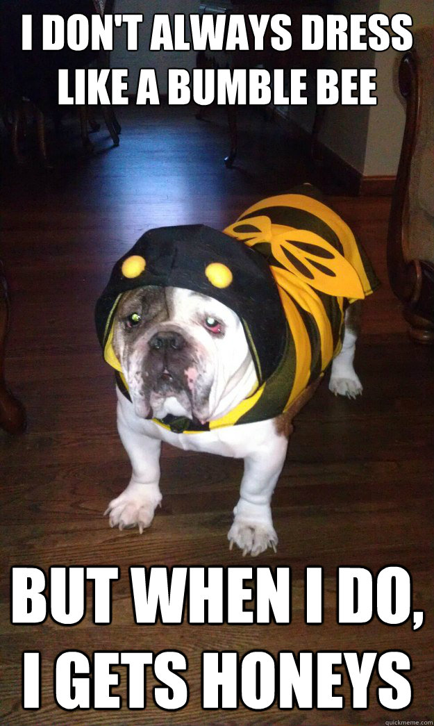 I don't always dress like a bumble bee But when I do, I gets honeys  Mugsy the Bugsy