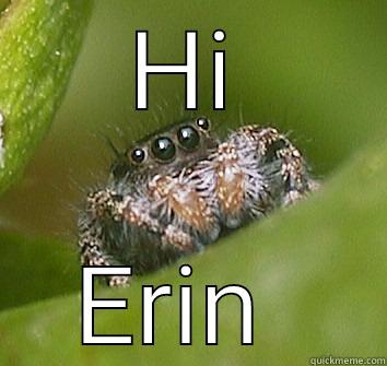 HI ERIN  Misunderstood Spider