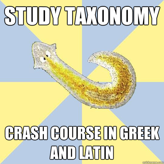 study taxonomy Crash course in Greek and Latin - study taxonomy Crash course in Greek and Latin  Bio Major Planarian