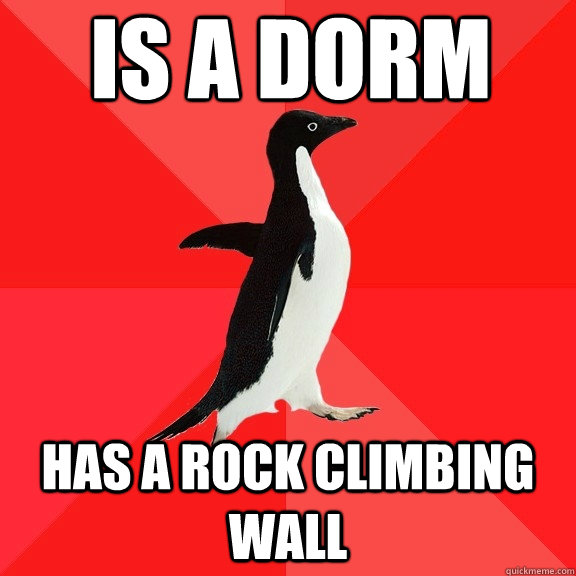 is a dorm has a rock climbing wall  Socially Awesome Penguin