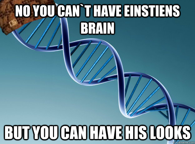 No you can`t have Einstiens Brain But you can have his looks  Scumbag Genetics